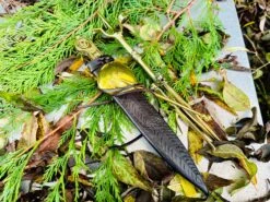 Festive Bundle Of Joy ~ BE MERIE -Tod Cutler Shop FBofjoyonconifer 3