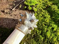 13-14thC Medieval Mace 6 - Northern European Grotesque 22 13-14thC Medieval Mace 6 - Northern European Grotesque -Tod Cutler Shop IMG 2390