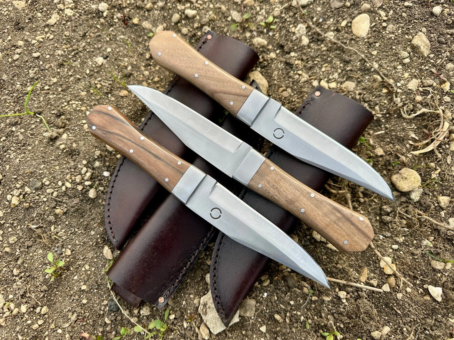 Bowie Knife With Coffin Shaped Walnut Handle 3 Bowie Knife With Coffin Shaped Walnut Handle