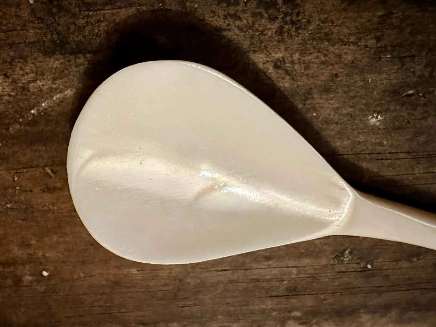 Scallop Shell Finial Bone Spoon 5 Scallop Shell Finial Bone Spoon - Image 3