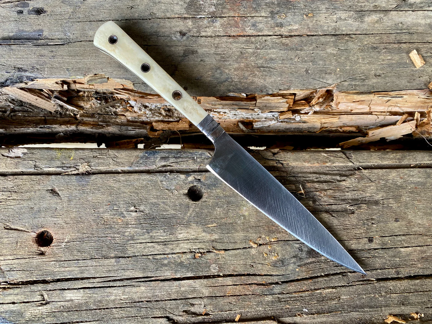 Tod Cutler Shop -Tod Cutler Shop TCPC 2 1