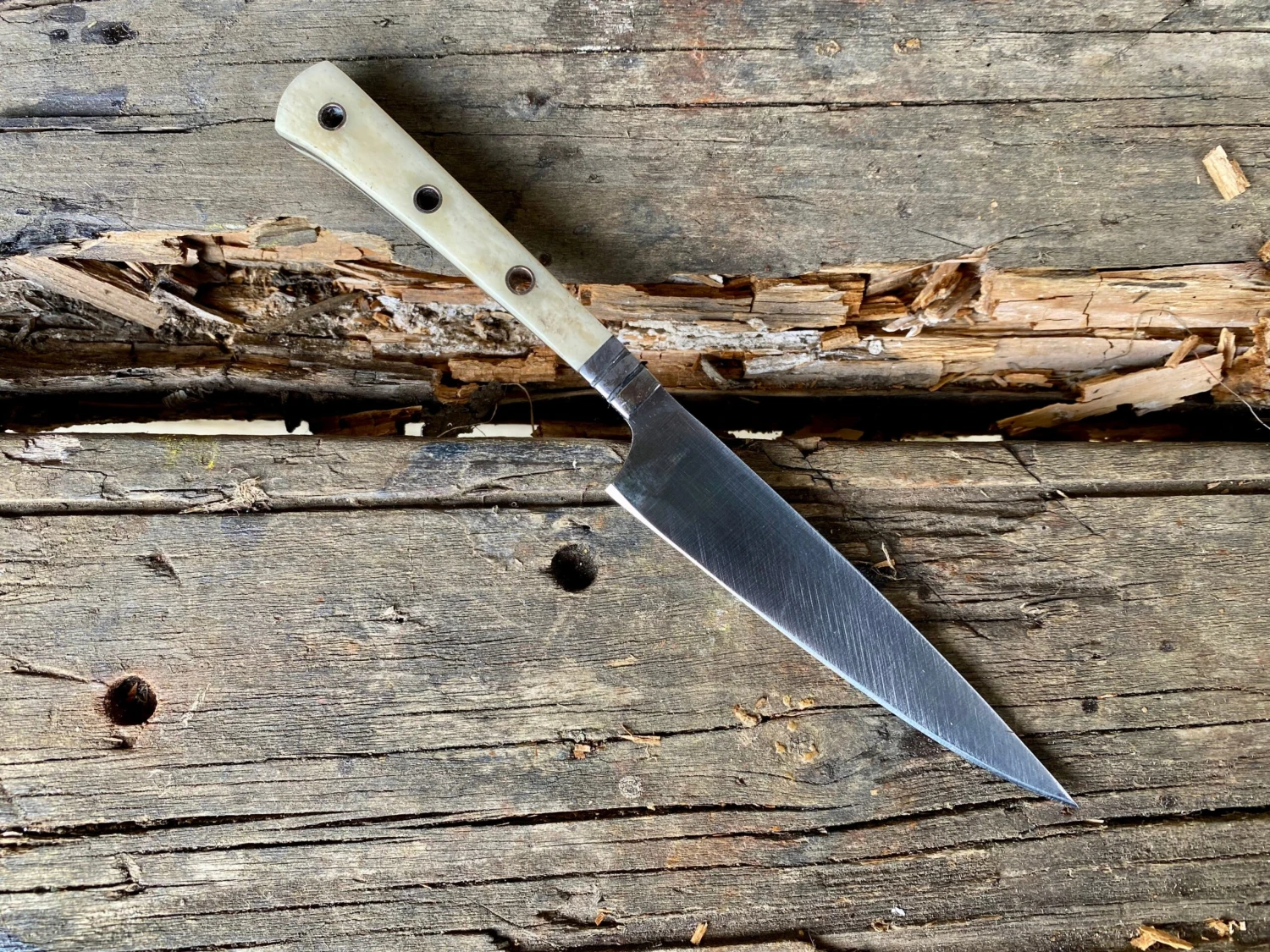 Small Bone Handled Medieval Eating Knives 14thC-15thC 3 Small Bone Handled Medieval Eating Knives 14thC-15thC