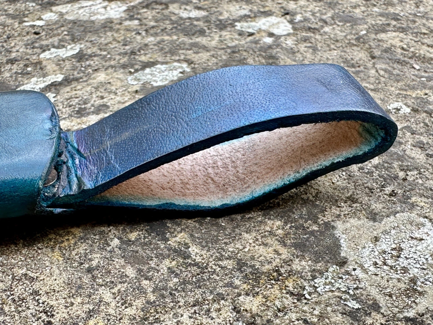 The Highland Bundle 14 The Highland Bundle - Image 12