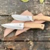 Field Knife Skinning Knife - BUNDLE PRICE 2 Field Knife Skinning Knife - BUNDLE PRICE -Tod Cutler Shop skinfield
